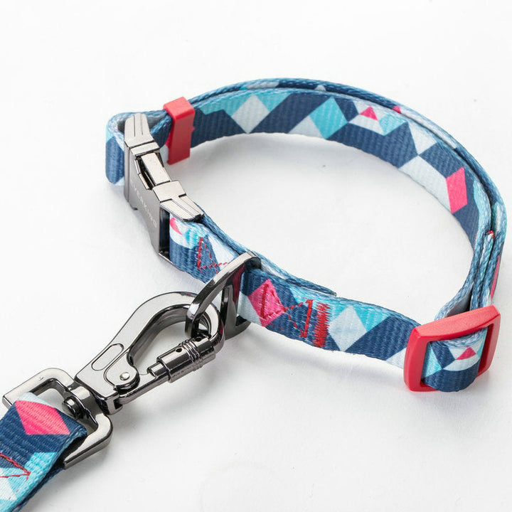 Pet Leash Supplies: The Ultimate Companion for Your Furry Friend