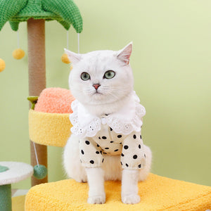 Elevate Your Pet's Style with Our Blue Pet T-Shirt Clothing