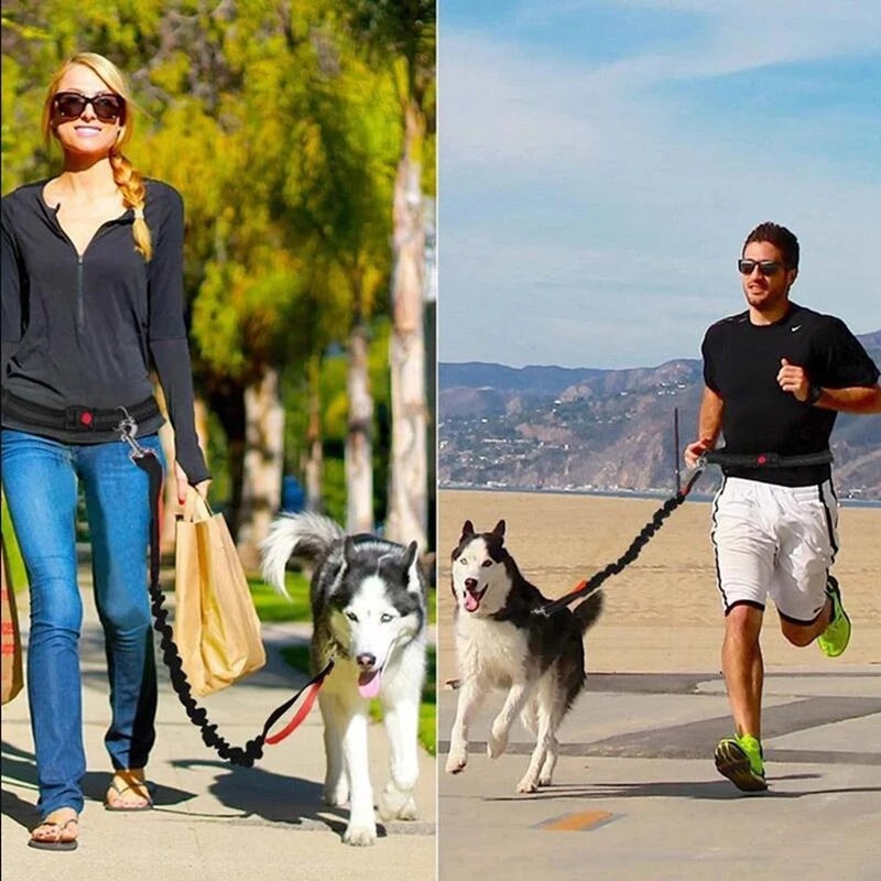 The Ultimate Adjustable Pet Harness Collar Jogging Leash