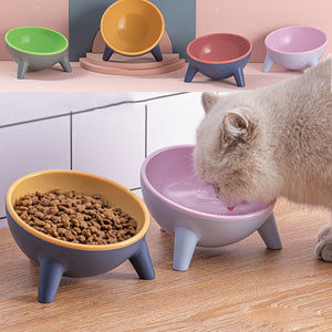 Elevate Your Pet's Dining Experience with Our Nordic Style Pet Bowl Stand Feeder
