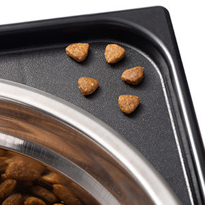 Elevated Pet Neck Support Feeding Bowl