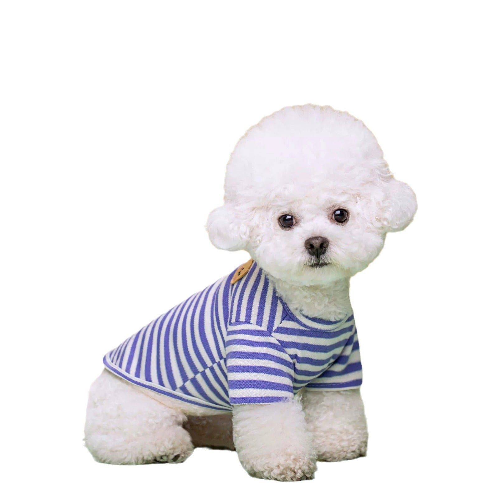 Keep Your Pet Cool and Stylish This Summer with Our Breathable T-Shirt