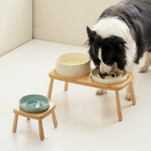 Ceramic Slow Feed Pet Bowl: Enhance Your Pet's Dining Experience